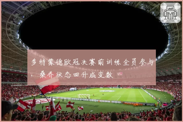 多特蒙德欧冠决赛前训练全员参与，桑乔状态回升成变数